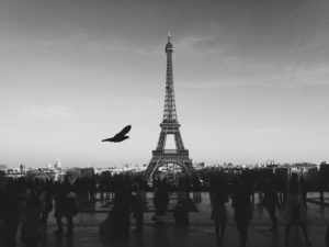 Belle photo de la tour Eiffel visible sur Google Images